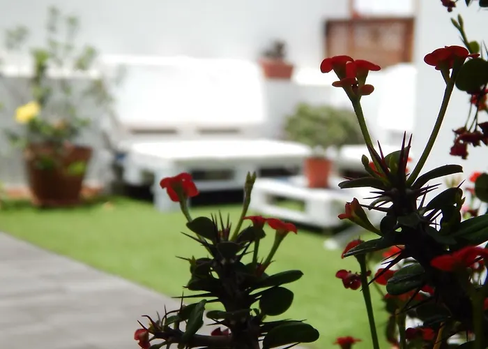 Twenty Seven Degrees Palmas Las Palmas