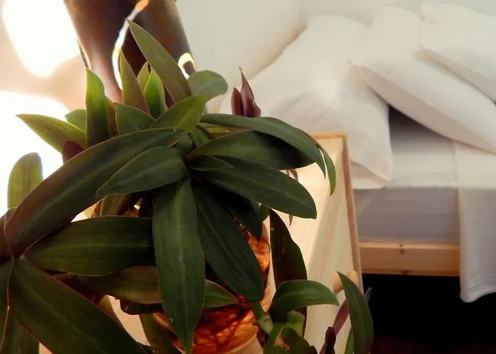 Twenty Seven Degrees Palmas Bed & Breakfast 2*