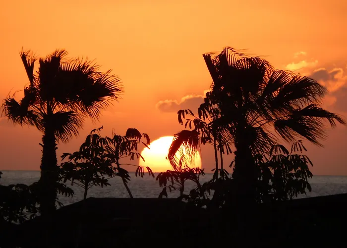 트웬티 세븐 디그리스 팔마스