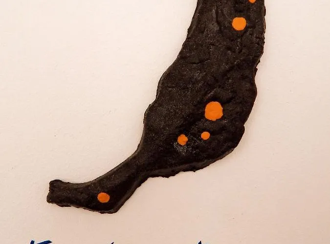 Twenty Seven Degrees Palmas Bed and breakfast Las Palmas de Gran Canaria