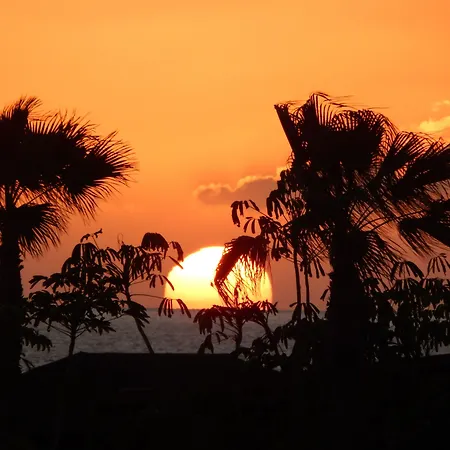 Twenty Seven Degrees Palmas